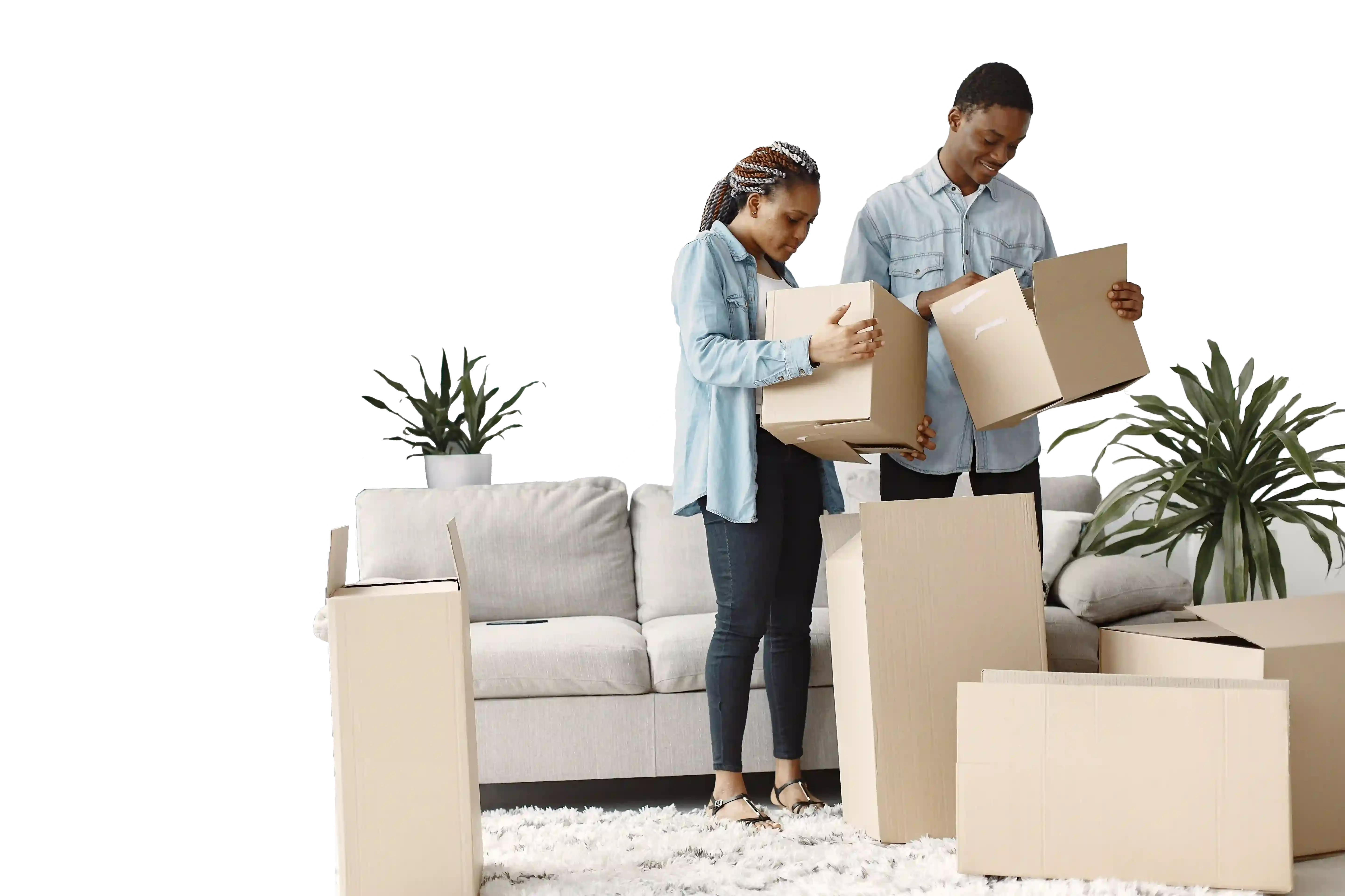 Professional Moving service